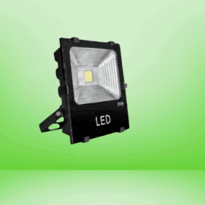 LED Flood Light